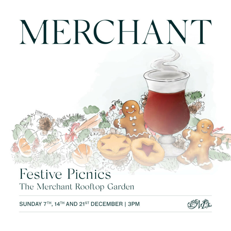TMH Festive Picnic Socials NOV25